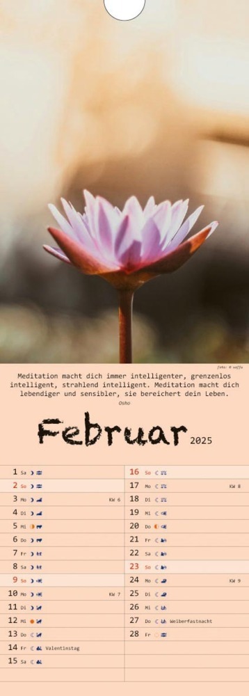 Bild: 9783948276355 | Spirit of Meditation. Kalender 2025 | Kalender | 14 S. | Deutsch