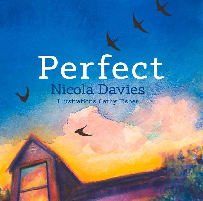 Cover: 9781910862469 | Perfect | Nicola Davies | Buch | Englisch | 2017 | Graffeg Limited