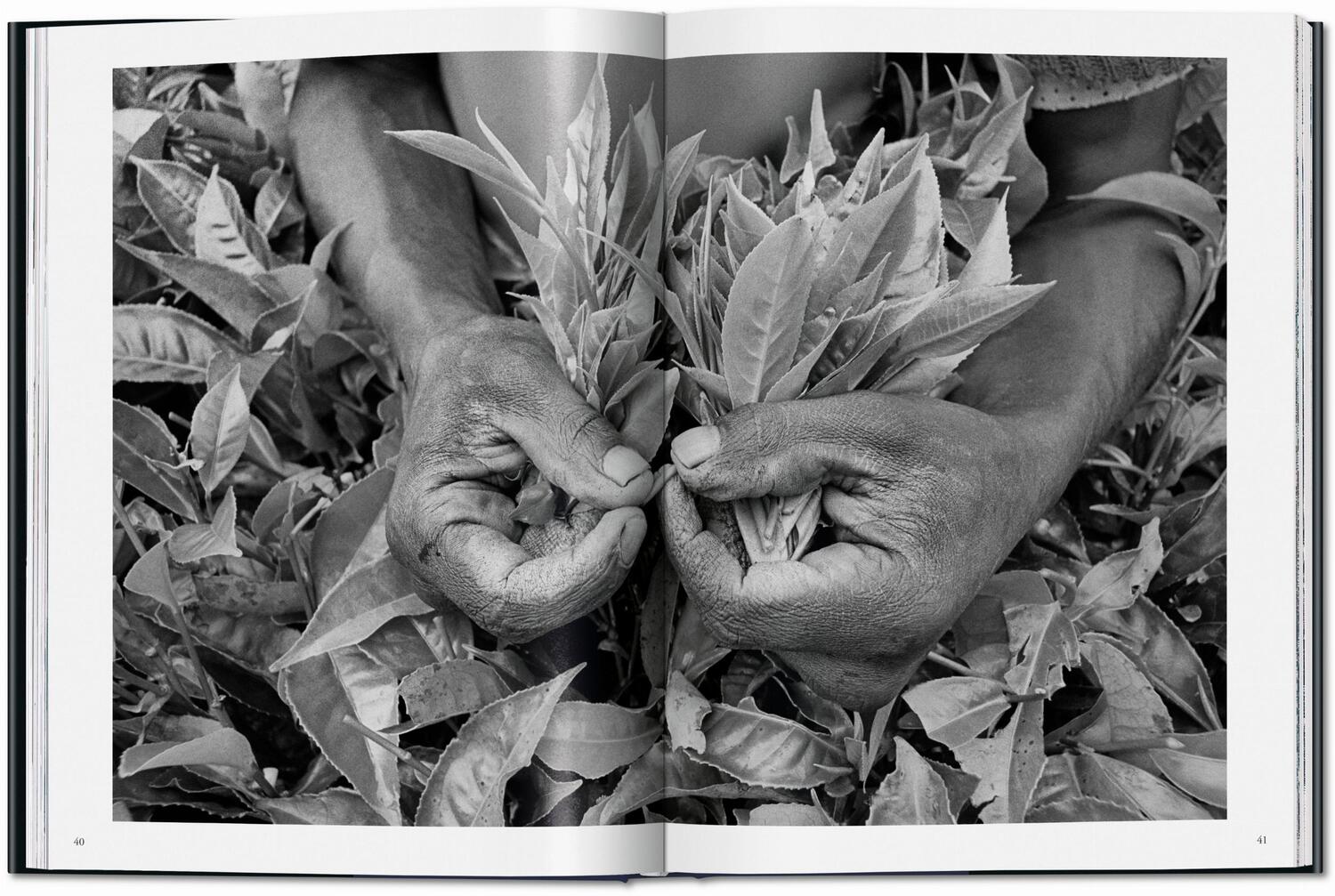 Bild: 9783836596497 | Sebastião Salgado. Trabajadores. Una arqueología de la era industrial