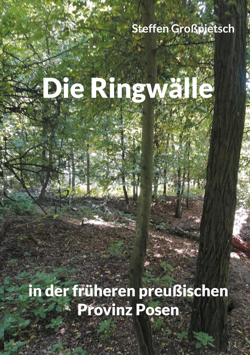 Cover: 9783754347737 | Die Ringwälle | in der früheren preußischen Provinz Posen | Buch