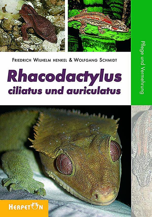 Cover: 9783936180237 | Rhacodactylus ciliatus und auriculatus | Pflege und Vermehrung | Buch