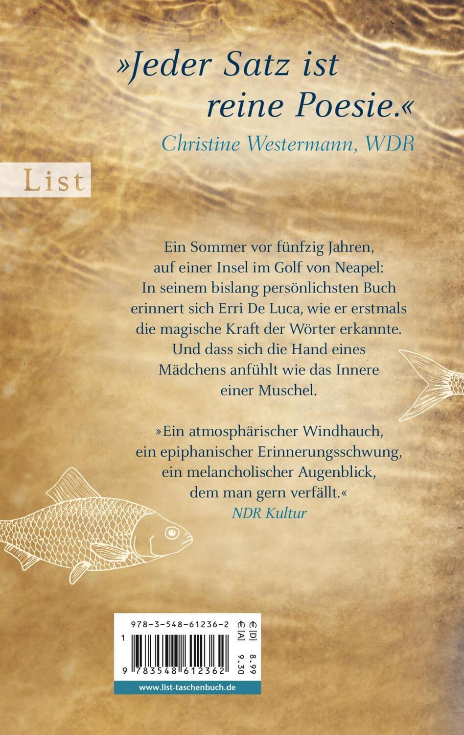 Rückseite: 9783548612362 | Fische schließen nie die Augen | Erri de Luca | Taschenbuch | Deutsch