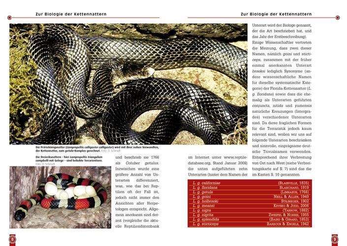 Bild: 9783937285030 | Die Kettennatter | Lampropeltis getula | Dieter Schmidt | Taschenbuch