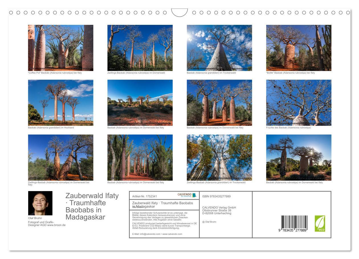 Bild: 9783435277889 | Zauberwald Ifaty · Traumhafte Baobabs in Madagaskar (Wandkalender...