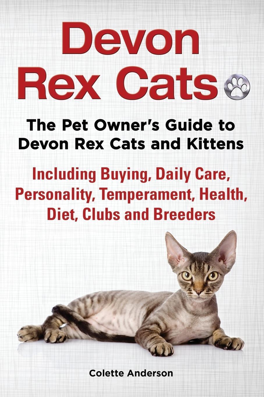 Cover: 9781909820692 | Devon Rex Cats The Pet Owner's Guide to Devon Rex Cats and Kittens...