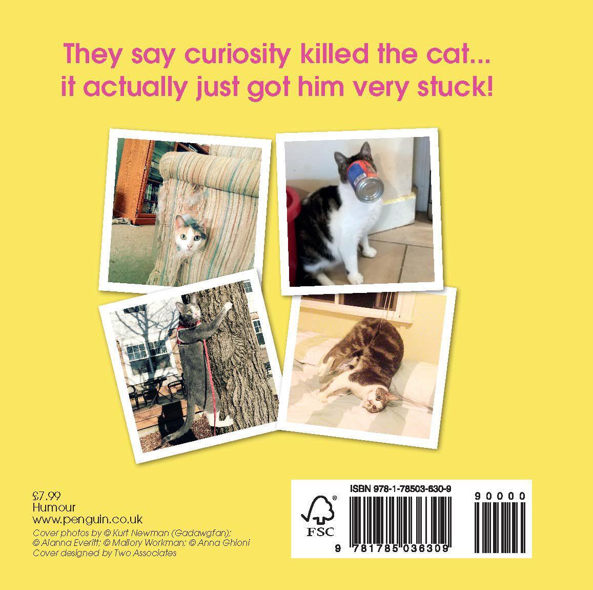 Rückseite: 9781785036309 | Cats Getting Stuck! | Ebury Press | Buch | o. Pag. | Englisch | 2018