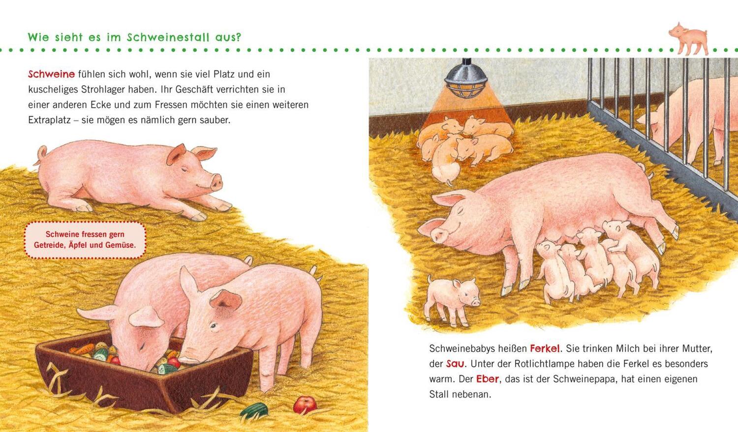 Bild: 9783551036124 | Unkaputtbar: Erstes Wissen: Unser Bauernhof | Petra Klose | Buch