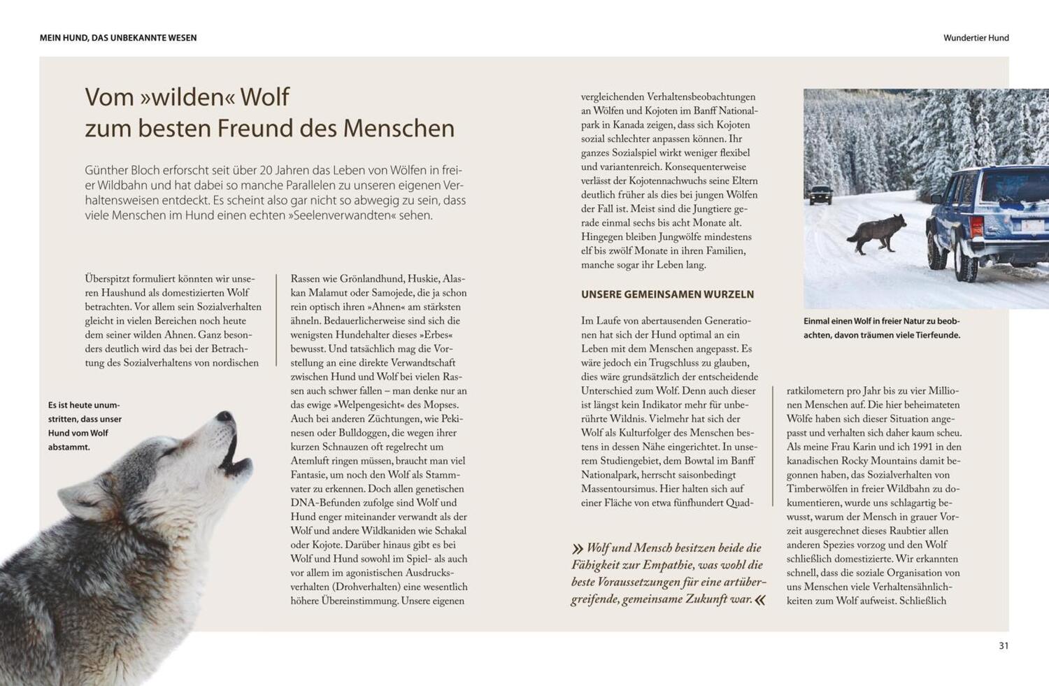 Bild: 9783833826450 | Was fühlt mein Hund? Was denkt mein Hund? | Nina Ruge | Buch | 192 S.