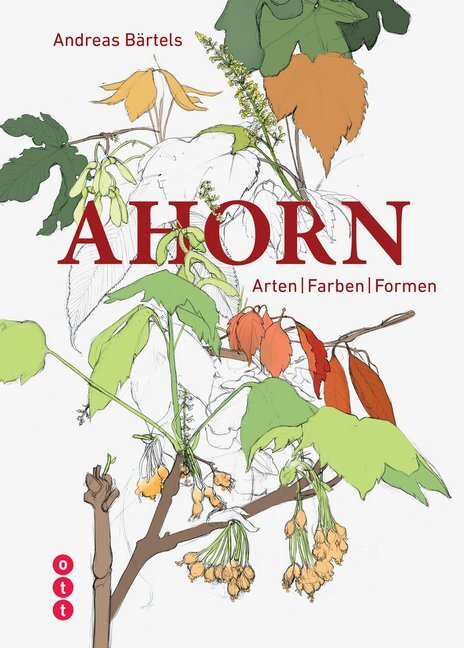 Cover: 9783722501734 | Ahorn | Arten Farben Formen | Andreas Bärtels | Taschenbuch | Deutsch