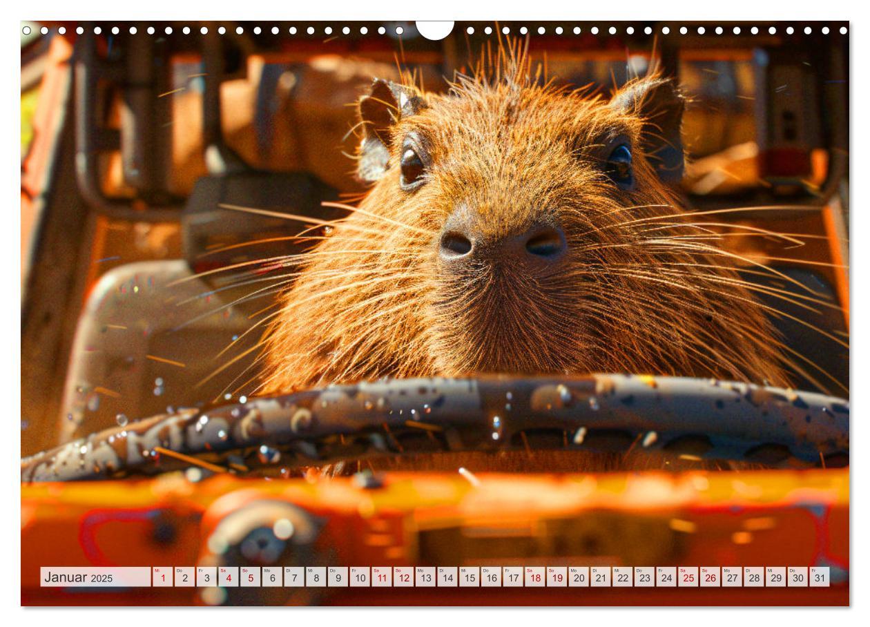 Bild: 9783457163955 | Capybaras im Alltag - Ein Jahr voller Abenteuer (Wandkalender 2025...