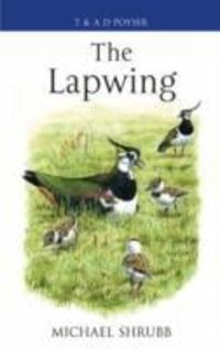 Cover: 9780713668544 | Shrubb, M: The Lapwing | Michael Shrubb | Poyser Monographs | 2007