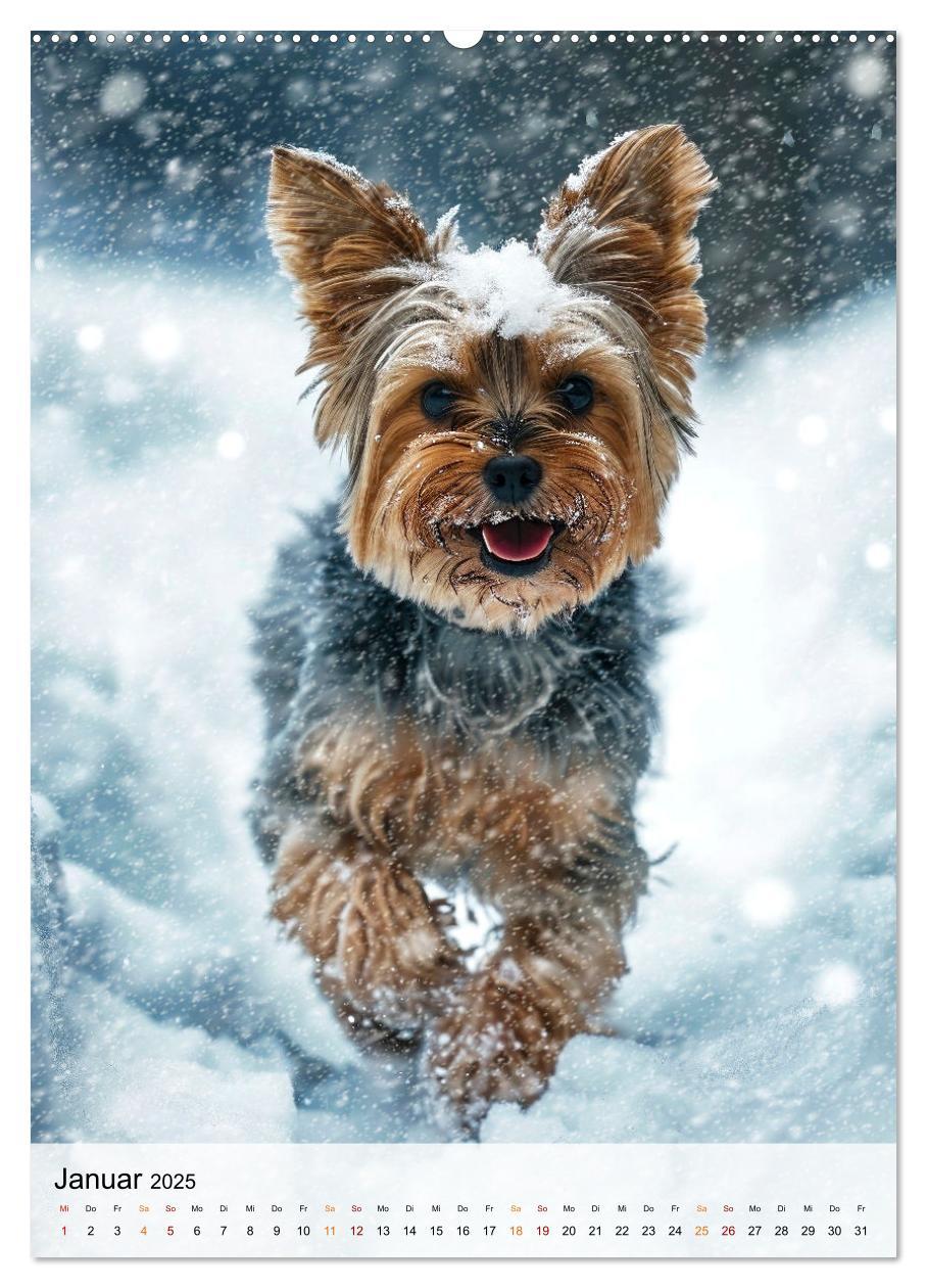 Bild: 9783383771736 | Yorkshire Terrier - ein Hund mit starkem Charakter (Wandkalender...