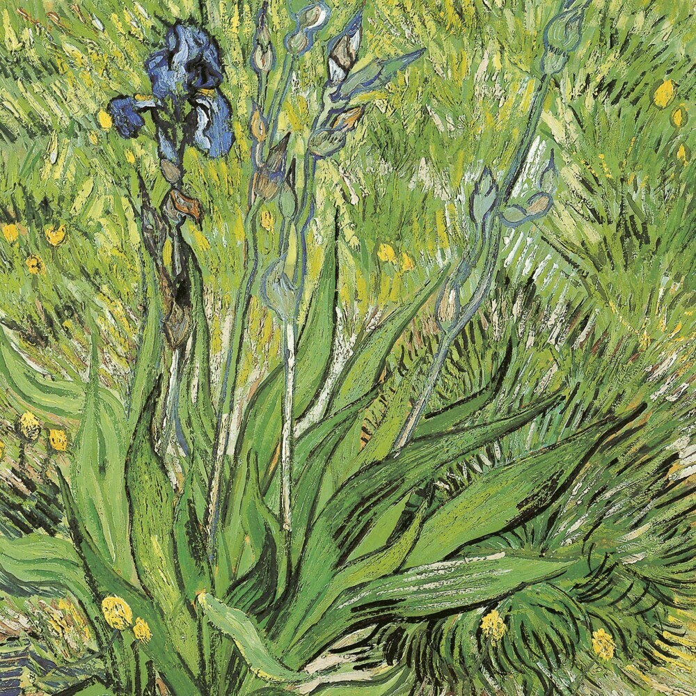 Bild: 9783959294362 | van Gogh - From Vincent's Garden 2025 | Kalender 2025 | Kalender