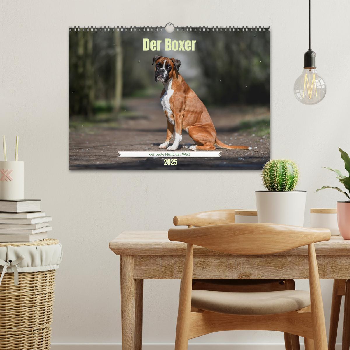 Bild: 9783383926396 | Der Boxer, der beste Hund der Welt (Wandkalender 2025 DIN A3 quer),...