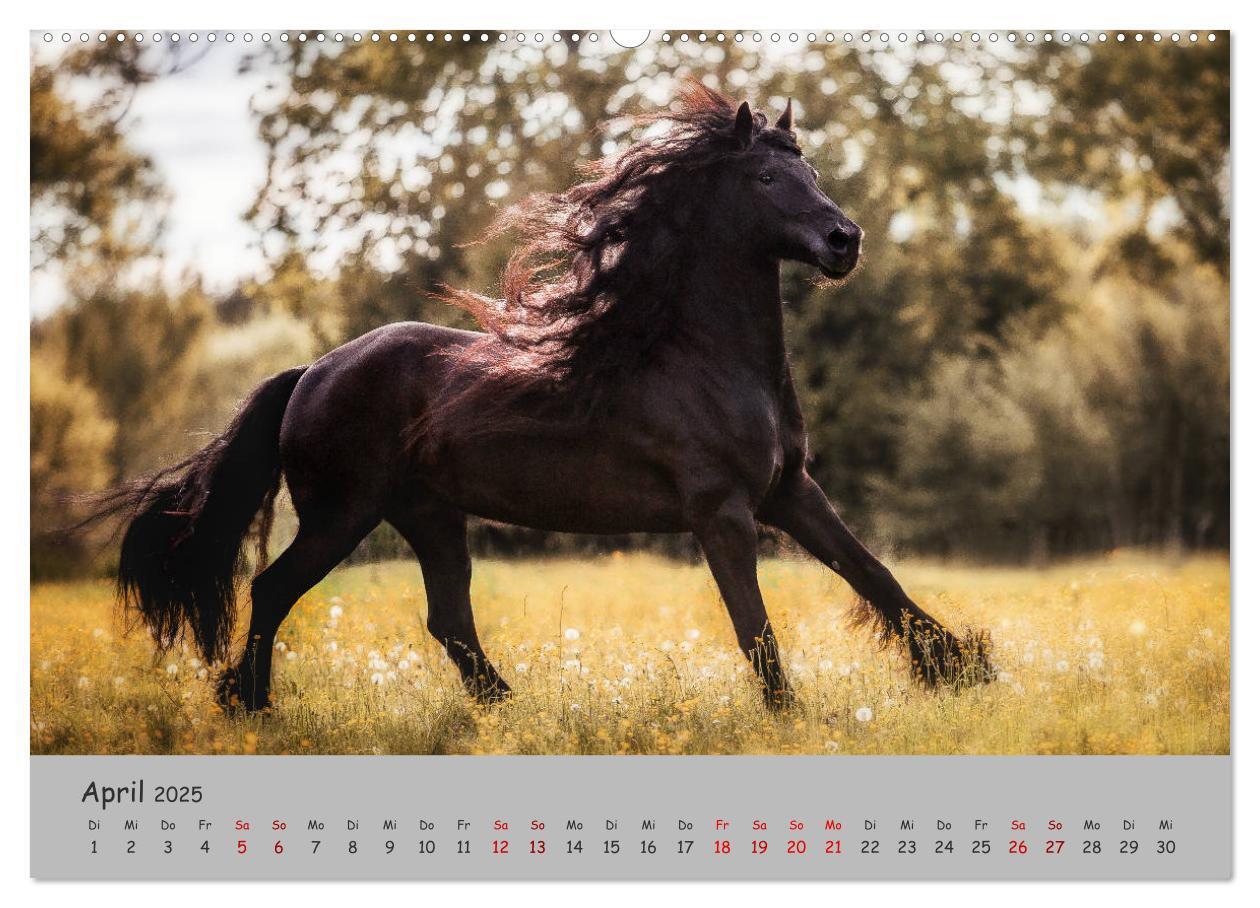 Bild: 9783435336357 | Spiegel deiner Seele (hochwertiger Premium Wandkalender 2025 DIN A2...