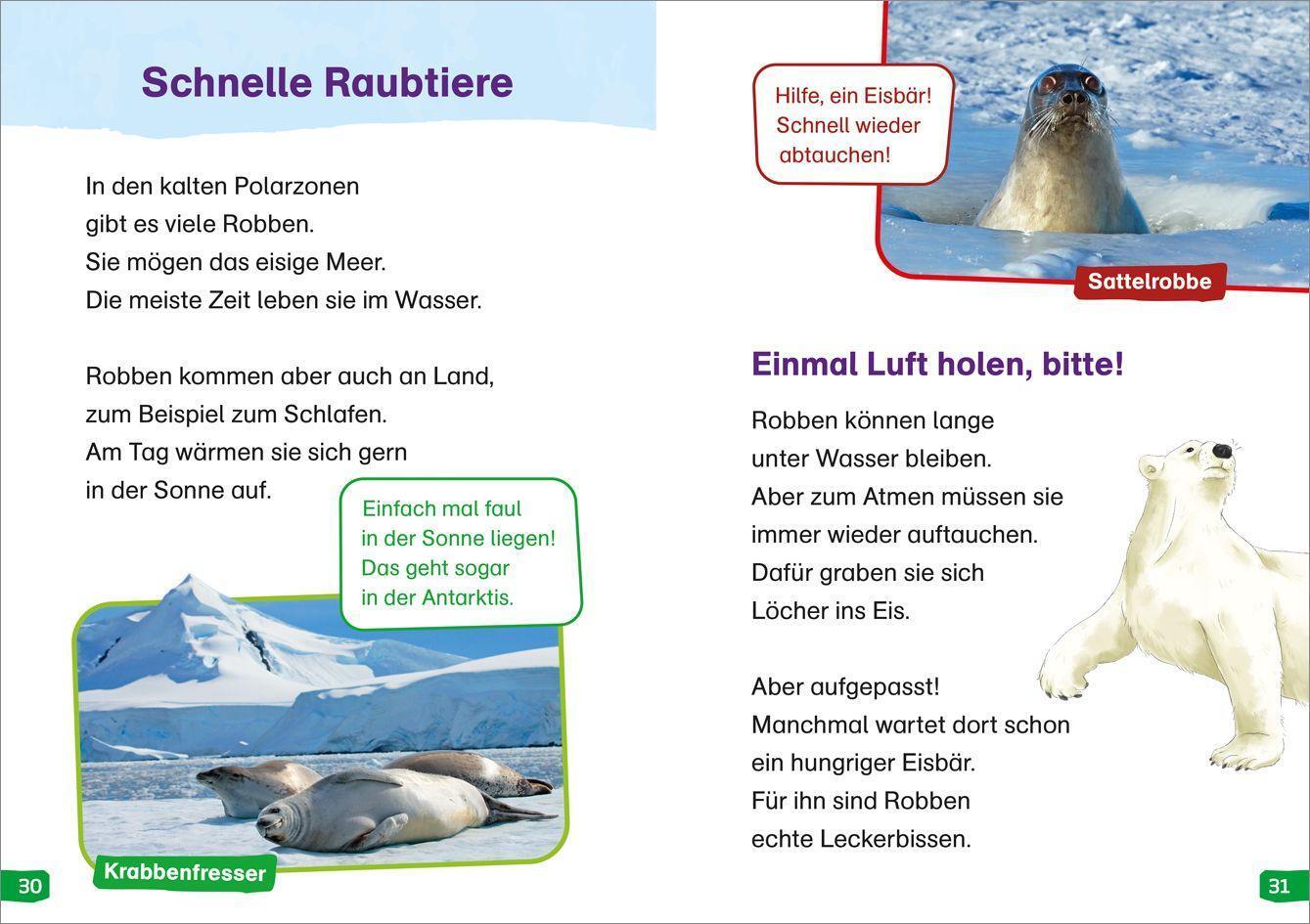 Bild: 9783788677268 | WAS IST WAS Erstes Lesen easy! Band 8. Tiere in Schnee und Eis | Buch