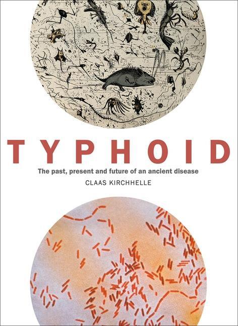 Cover: 9781785513831 | Typhoid | The past, present, and future of an ancient disease | Buch