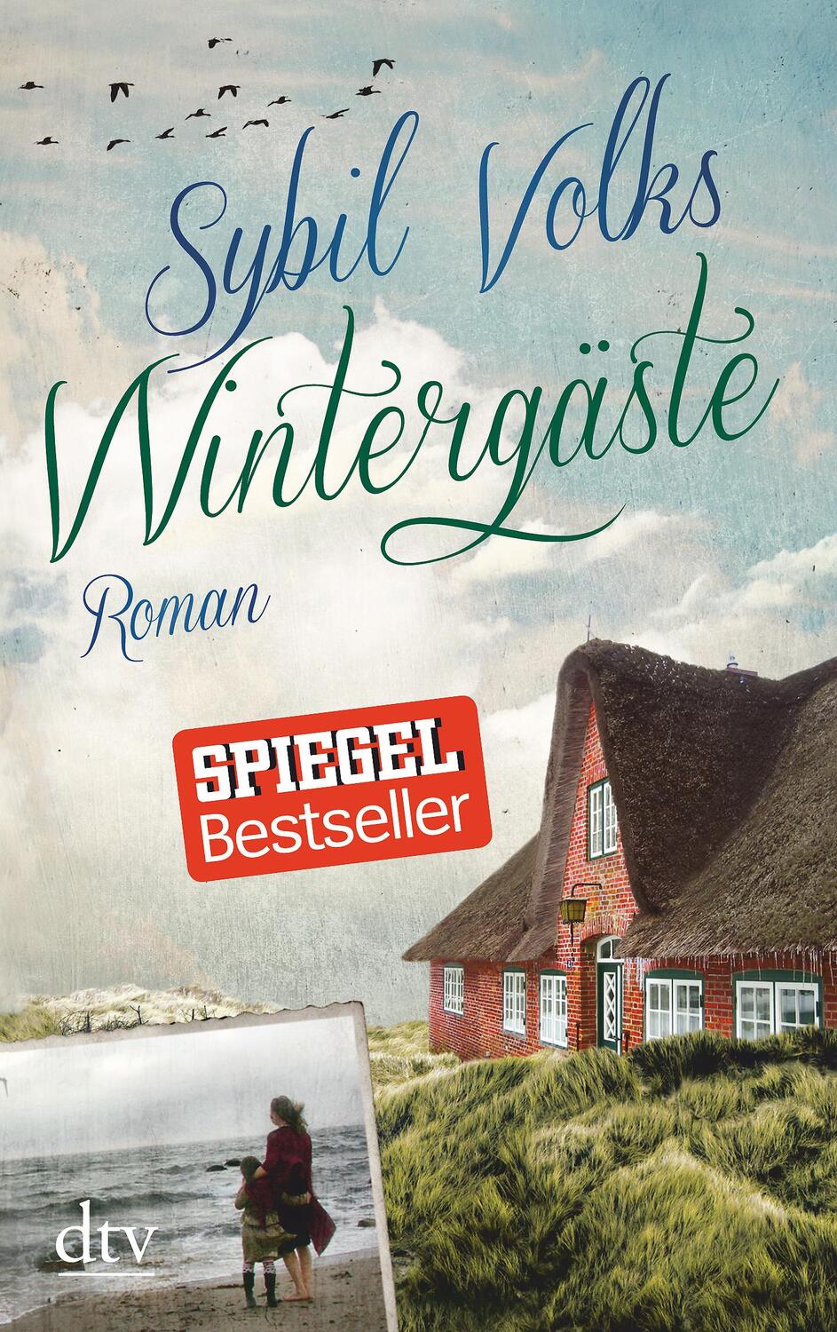 Cover: 9783423216999 | Wintergäste | Sybil Volks | Taschenbuch | Die Familie-Boysen-Reihe