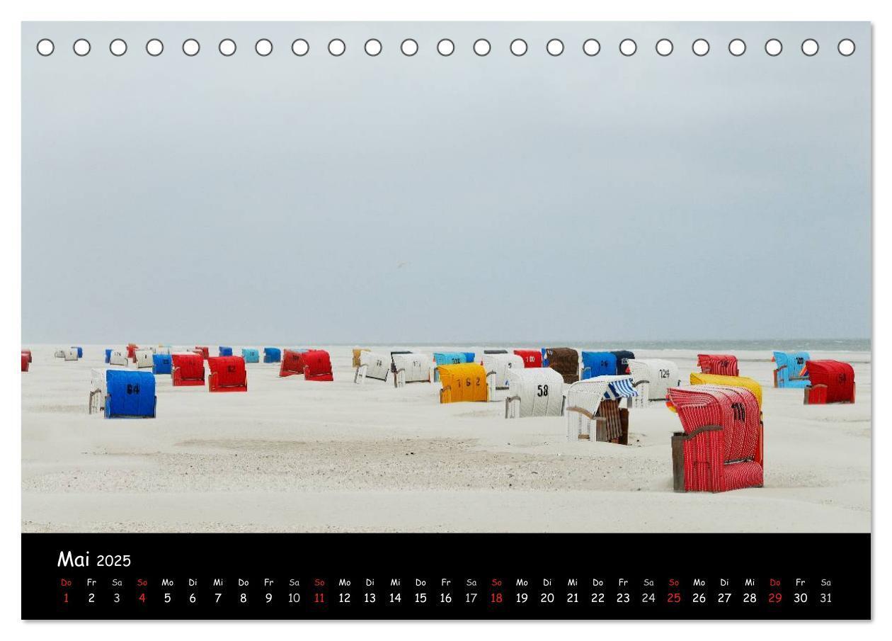 Bild: 9783435826377 | Amrum (Tischkalender 2025 DIN A5 quer), CALVENDO Monatskalender | 2025