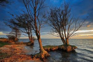 Bild: 9783941803015 | Müritz-Nationalpark | Hommage an eine Landschaft | Bartocha (u. a.)