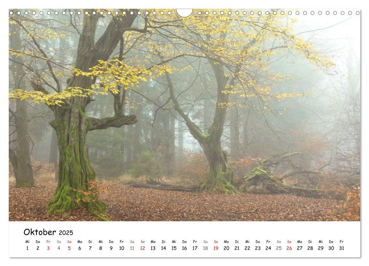 Bild: 9783435609628 | Morgendliche Stimmungen in Nordhessen (Wandkalender 2025 DIN A3...