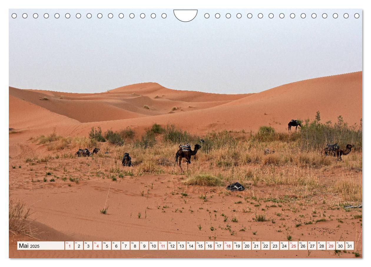 Bild: 9783435141081 | Die SAHARA in Marokko, Faszinierende Wüstenregionen (Wandkalender...