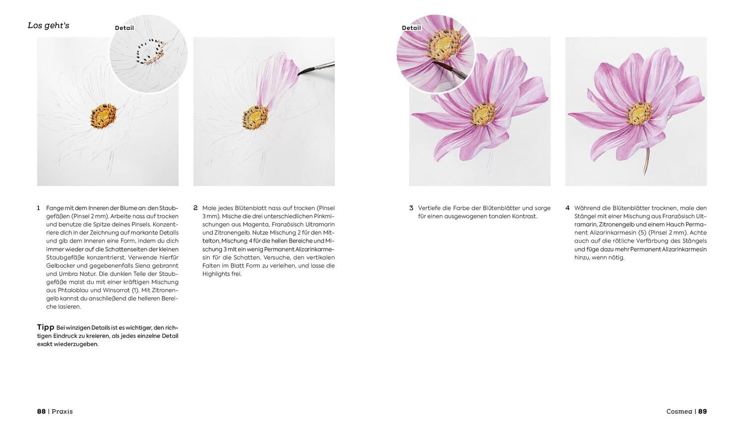 Bild: 9783745922325 | Botanicals - Naturmotive in Aquarell | Sophie Crossart | Buch | 144 S.