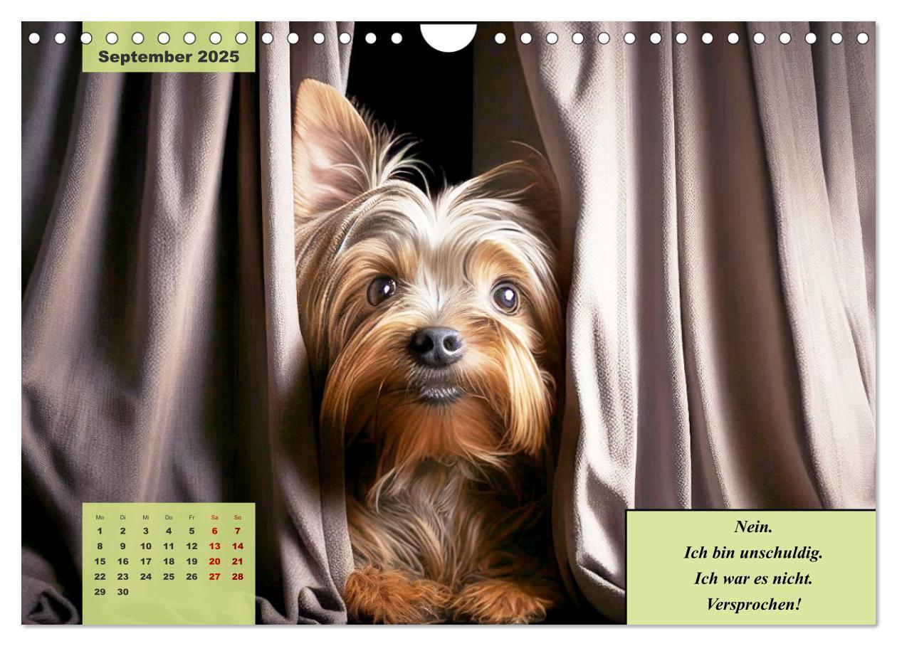 Bild: 9783383920523 | Der humoristische Yorkshire Terrier Kalender (Wandkalender 2025 DIN...