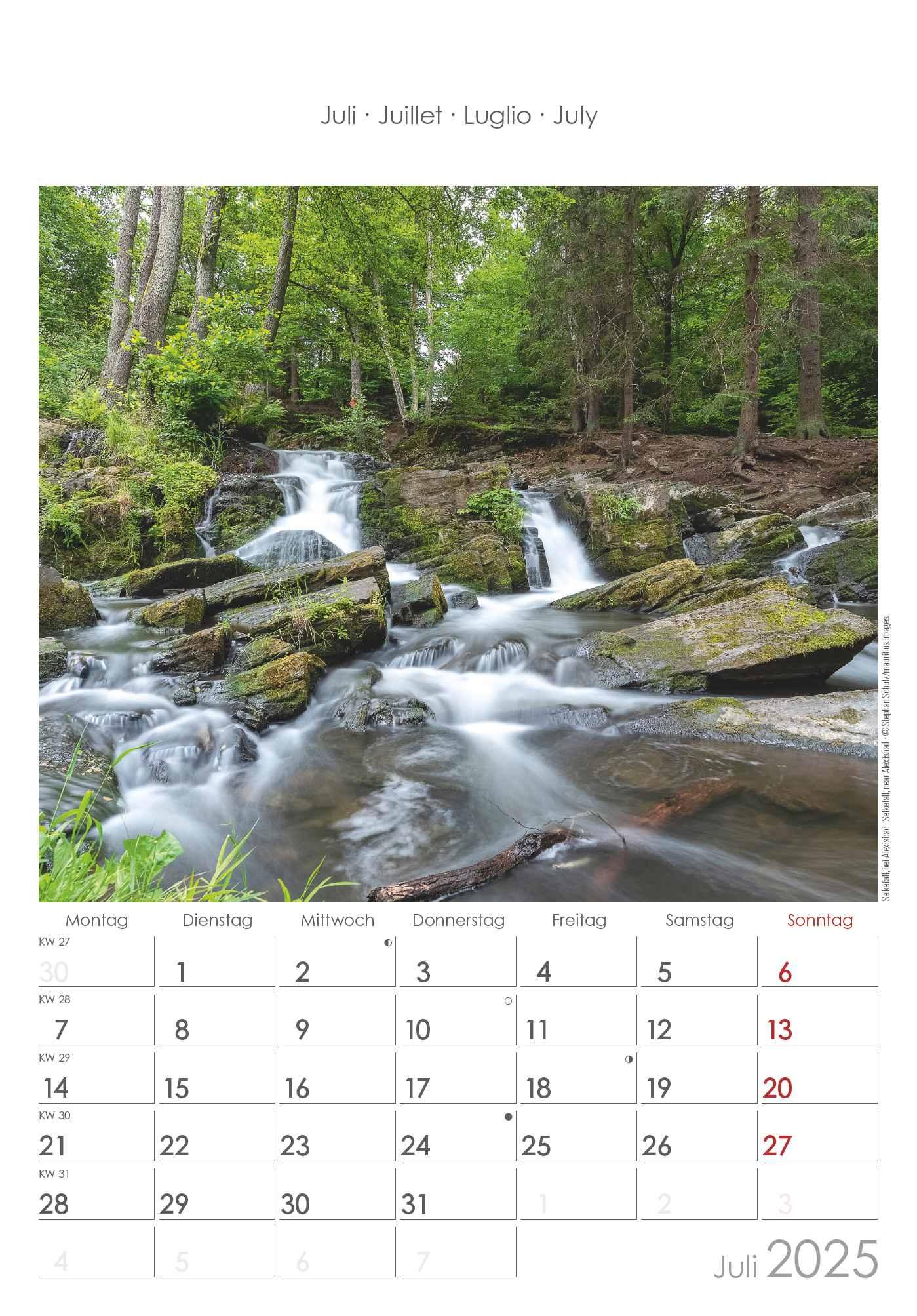 Bild: 4251732343187 | Sachsen-Anhalt 2025 - Bild-Kalender 23,7x34 cm - Regional-Kalender...