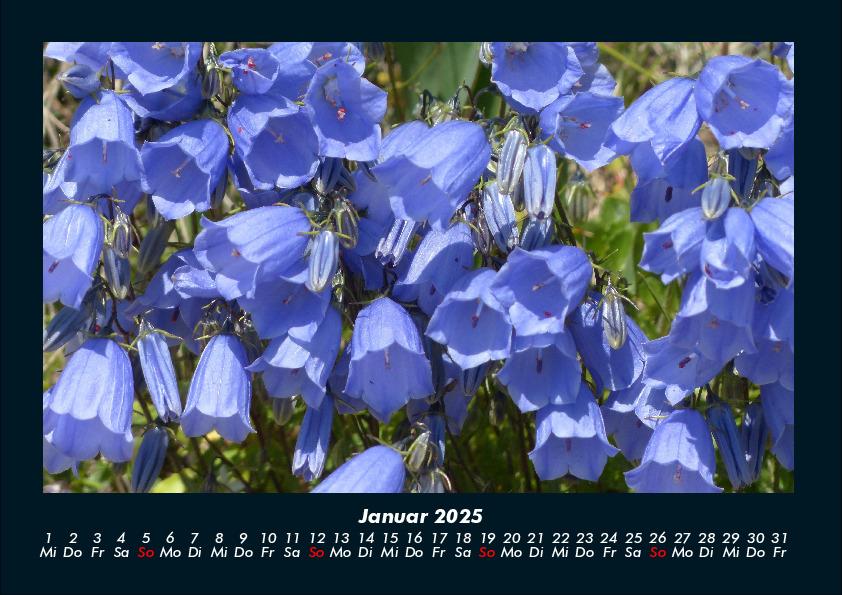 Bild: 9783755989172 | Blumenkalender 2025 Fotokalender DIN A4 | Tobias Becker | Kalender