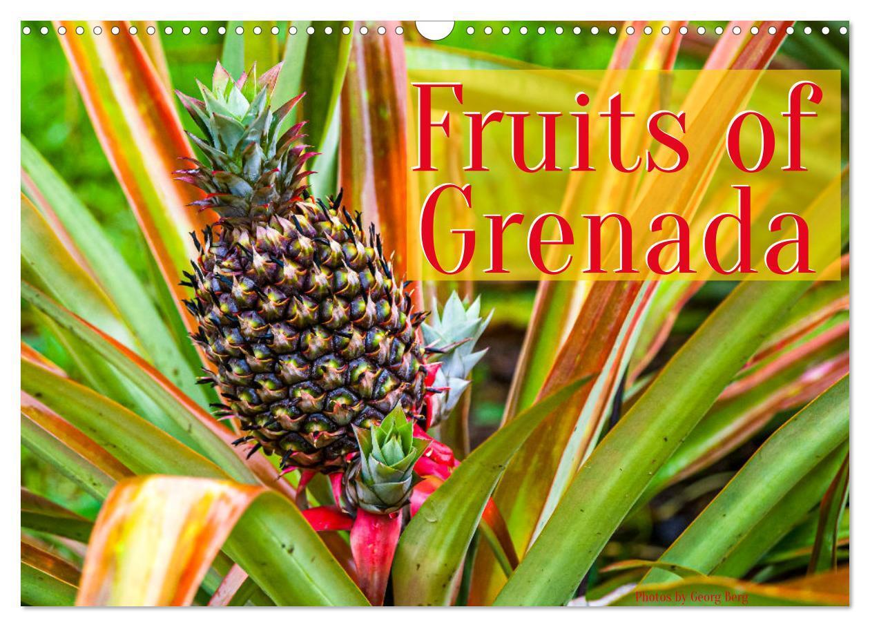 Cover: 9781325836536 | Fruits of Grenada (Wall Calendar 2025 DIN A3 landscape), CALVENDO...