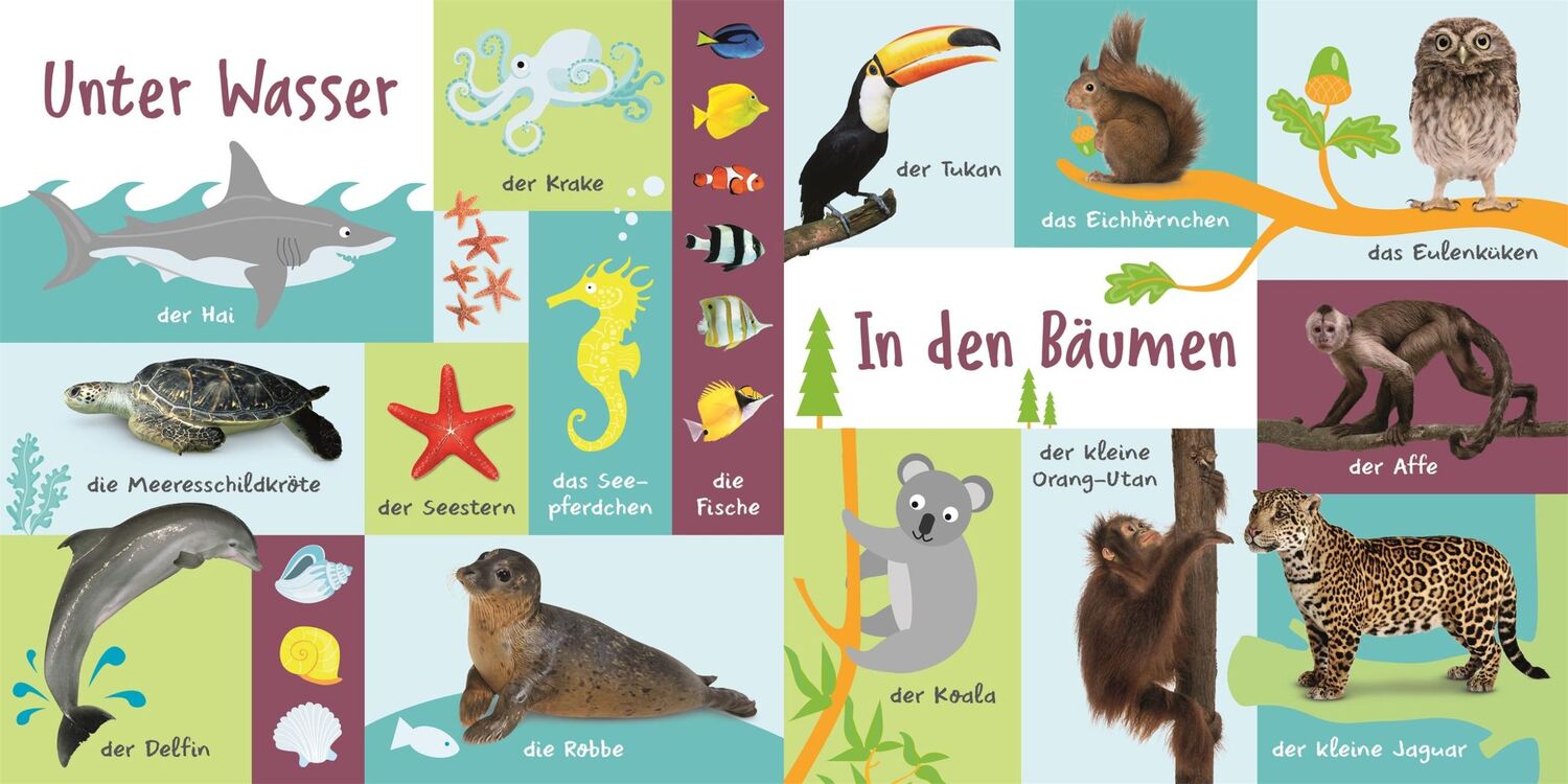 Bild: 9783831046805 | 100 erste Tiere | DK Verlag - Kids | Buch | 16 S. | Deutsch | 2023