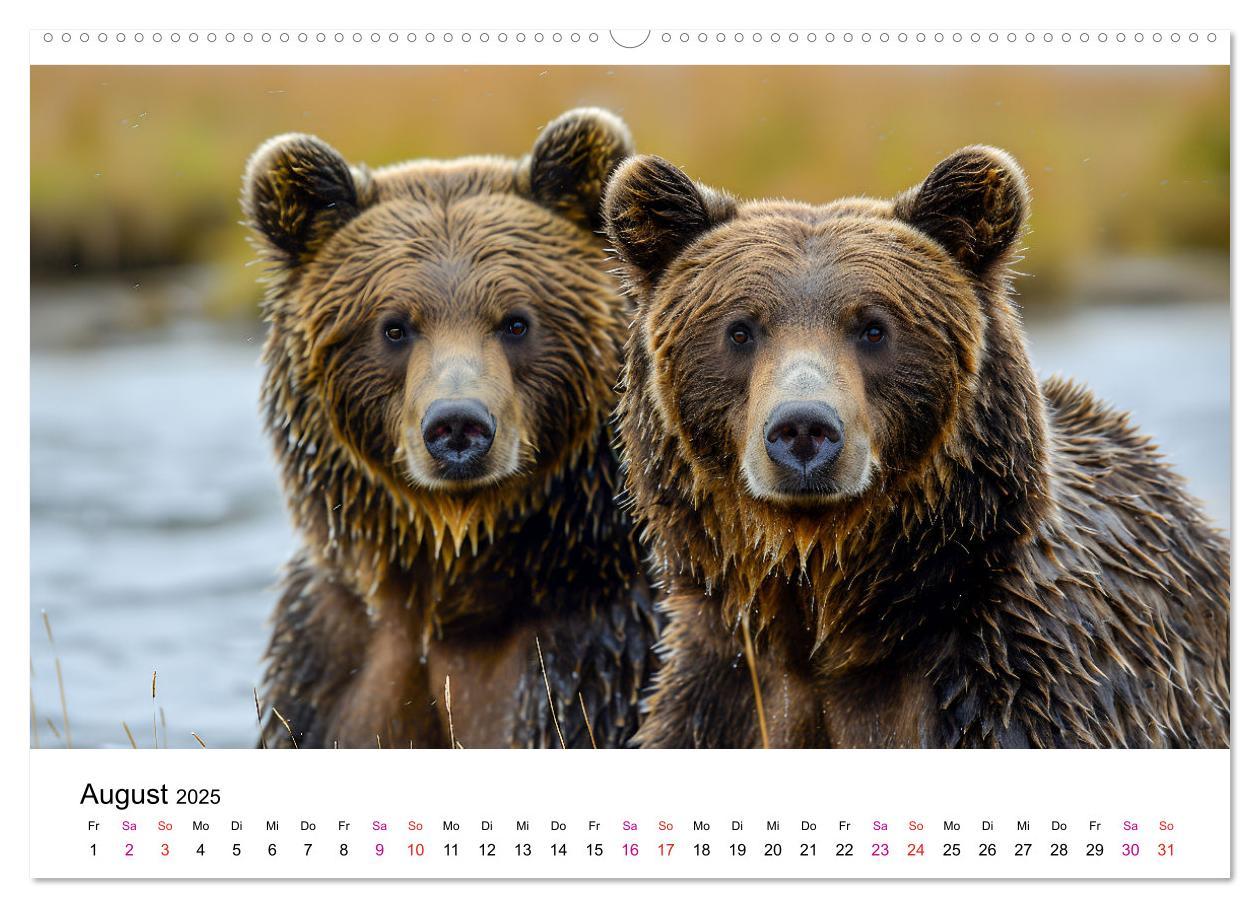 Bild: 9783457170472 | Bären - gefährlich nett (hochwertiger Premium Wandkalender 2025 DIN...