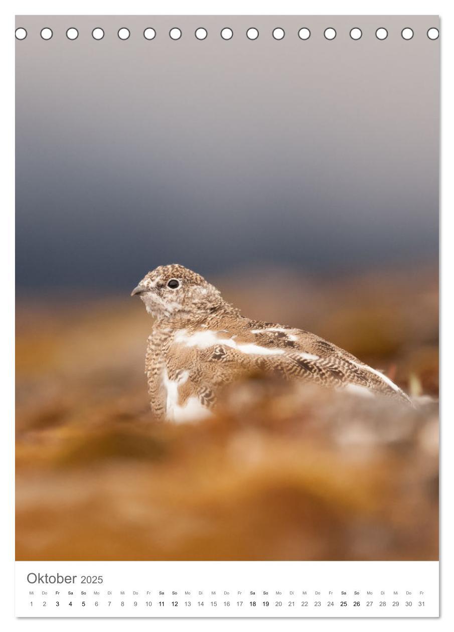 Bild: 9783435846757 | Die Arktis - Naturfotografien aus Spitzbergen (Tischkalender 2025...