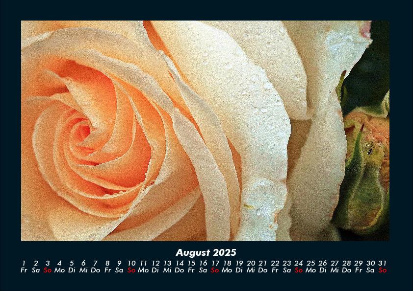 Bild: 9783755970637 | Rosen-Kalender 2025 Fotokalender DIN A4 | Tobias Becker | Kalender