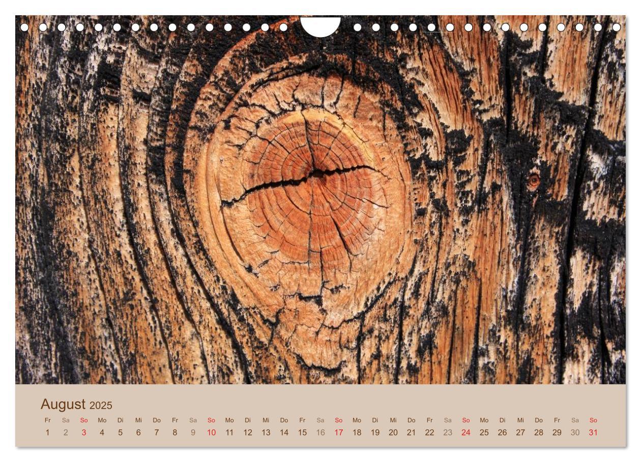 Bild: 9783435476268 | Farben des Holzes (Wandkalender 2025 DIN A4 quer), CALVENDO...