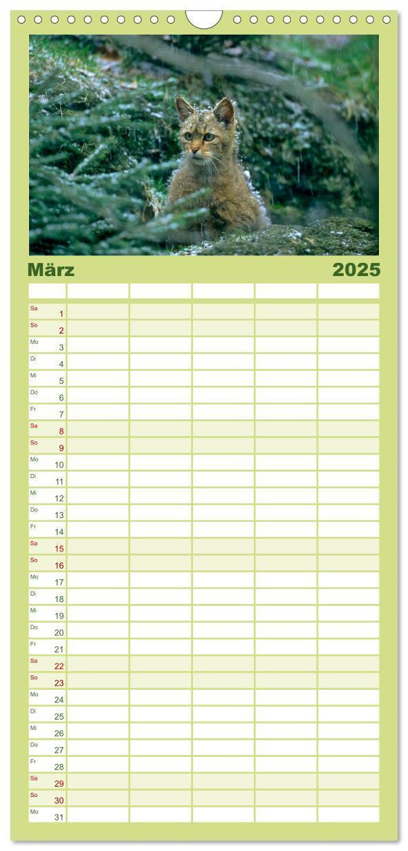 Bild: 9783457117606 | Familienplaner 2025 - Tiere des Waldes mit 5 Spalten (Wandkalender,...