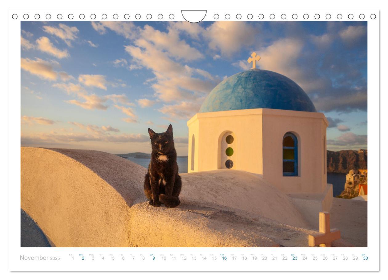 Bild: 9781325837526 | Cats of the Greek Islands (Wall Calendar 2025 DIN A4 landscape),...