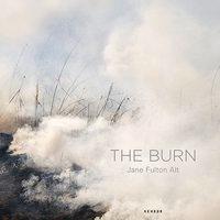 Cover: 9783868284010 | Jane Fulton Alt | The Burn | Gribbon | Buch | 96 S. | Englisch | 2013