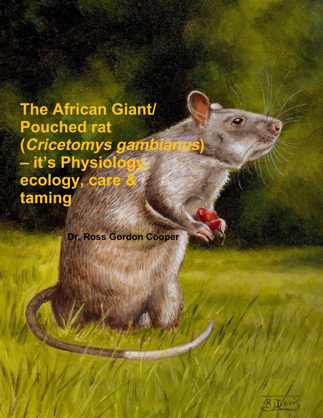 Cover: 9781291745993 | The African Giant/Pouched rat (Cricetomys gambianus) - it's...