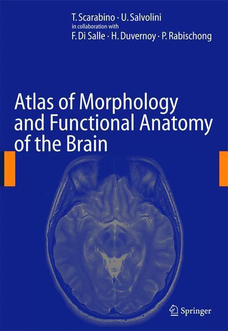 Cover: 9783540296287 | Atlas of Morphology and Functional Anatomy of the Brain | Buch | X