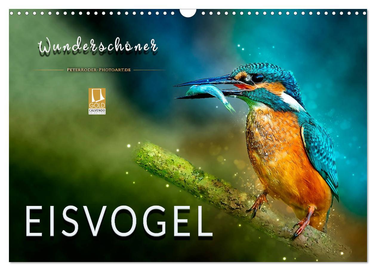 Cover: 9783435333684 | Wunderschöner Eisvogel (Wandkalender 2025 DIN A3 quer), CALVENDO...