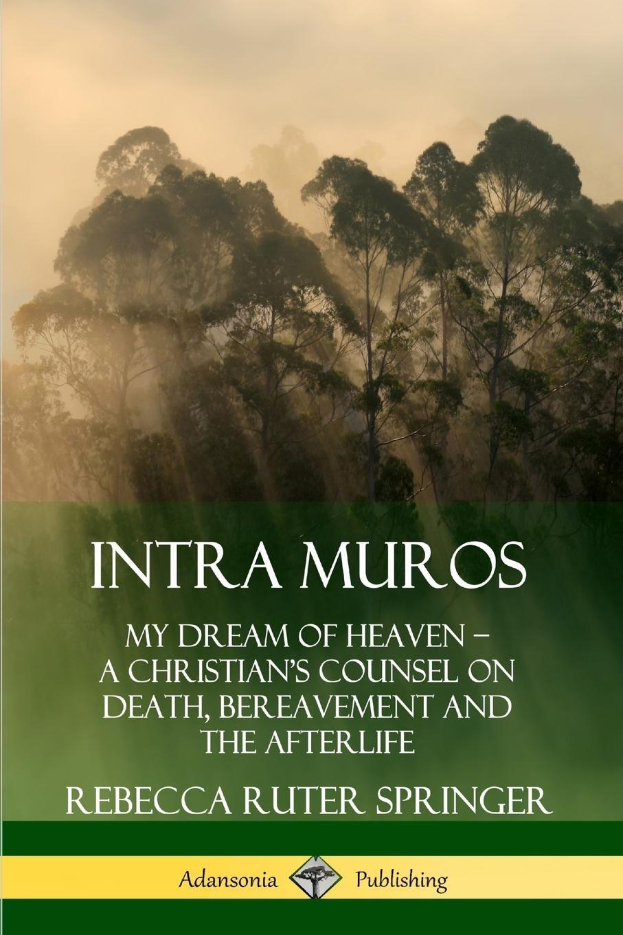 Cover: 9780359737888 | Intra Muros | Rebecca Ruter Springer | Taschenbuch | Paperback | 2019