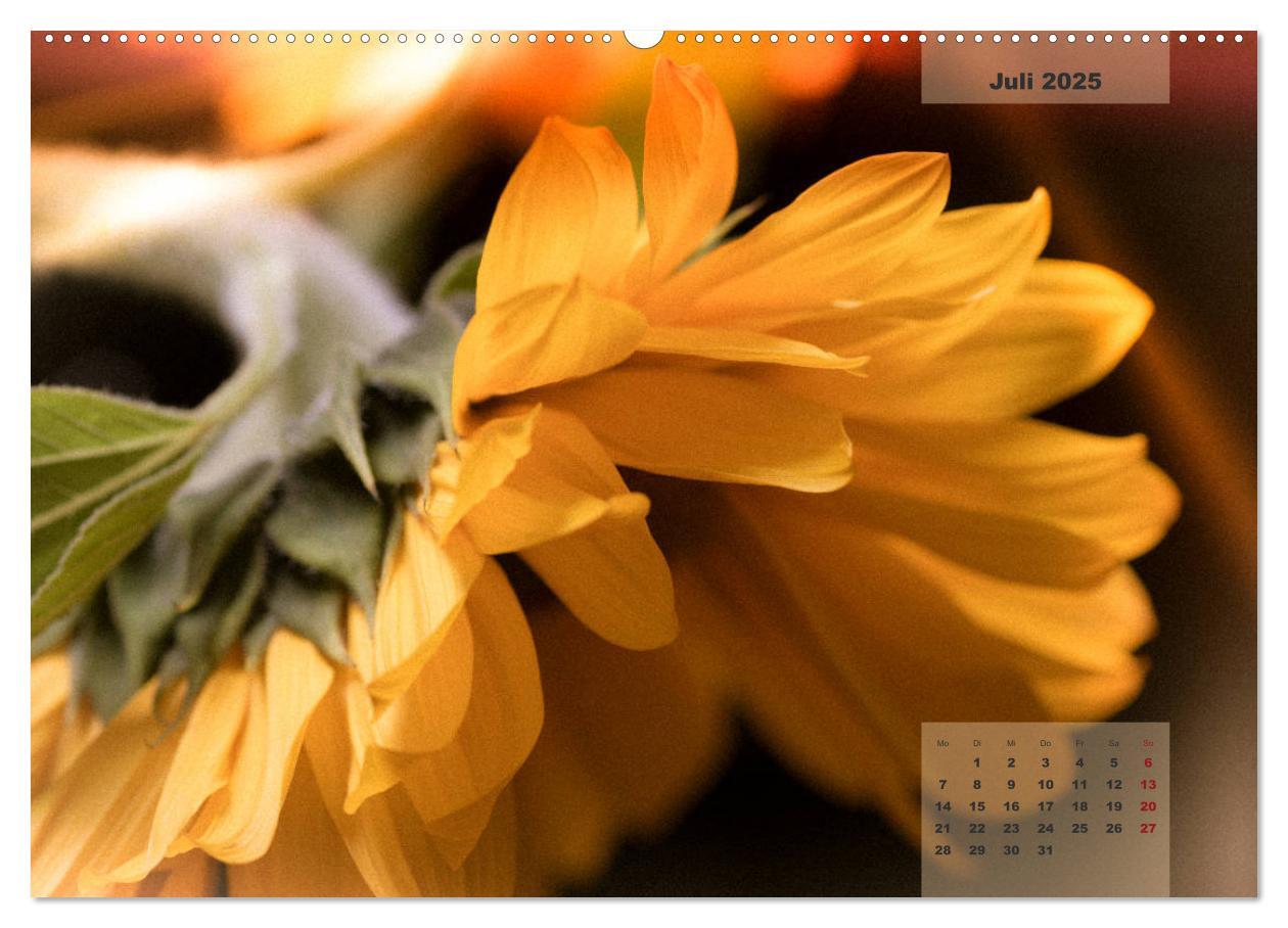 Bild: 9783435304523 | Blüten im Retro-Style (Wandkalender 2025 DIN A2 quer), CALVENDO...