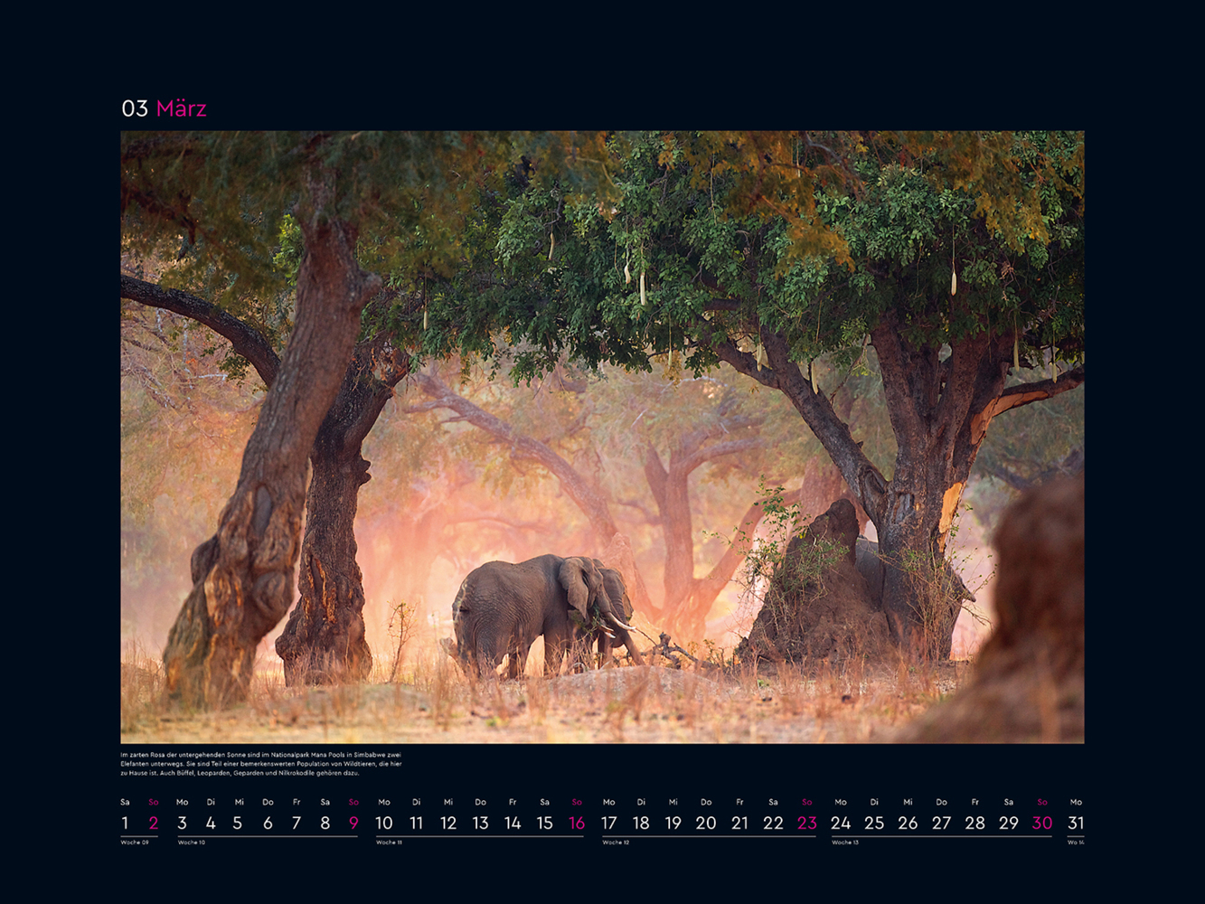 Bild: 9783965913509 | Das Naturerbe der Welt - KUNTH Wandkalender 2025 | Kalender | 14 S.