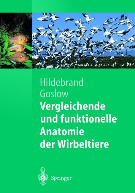 Cover: 9783642623752 | Vergleichende und funktionelle Anatomie der Wirbeltiere | Taschenbuch