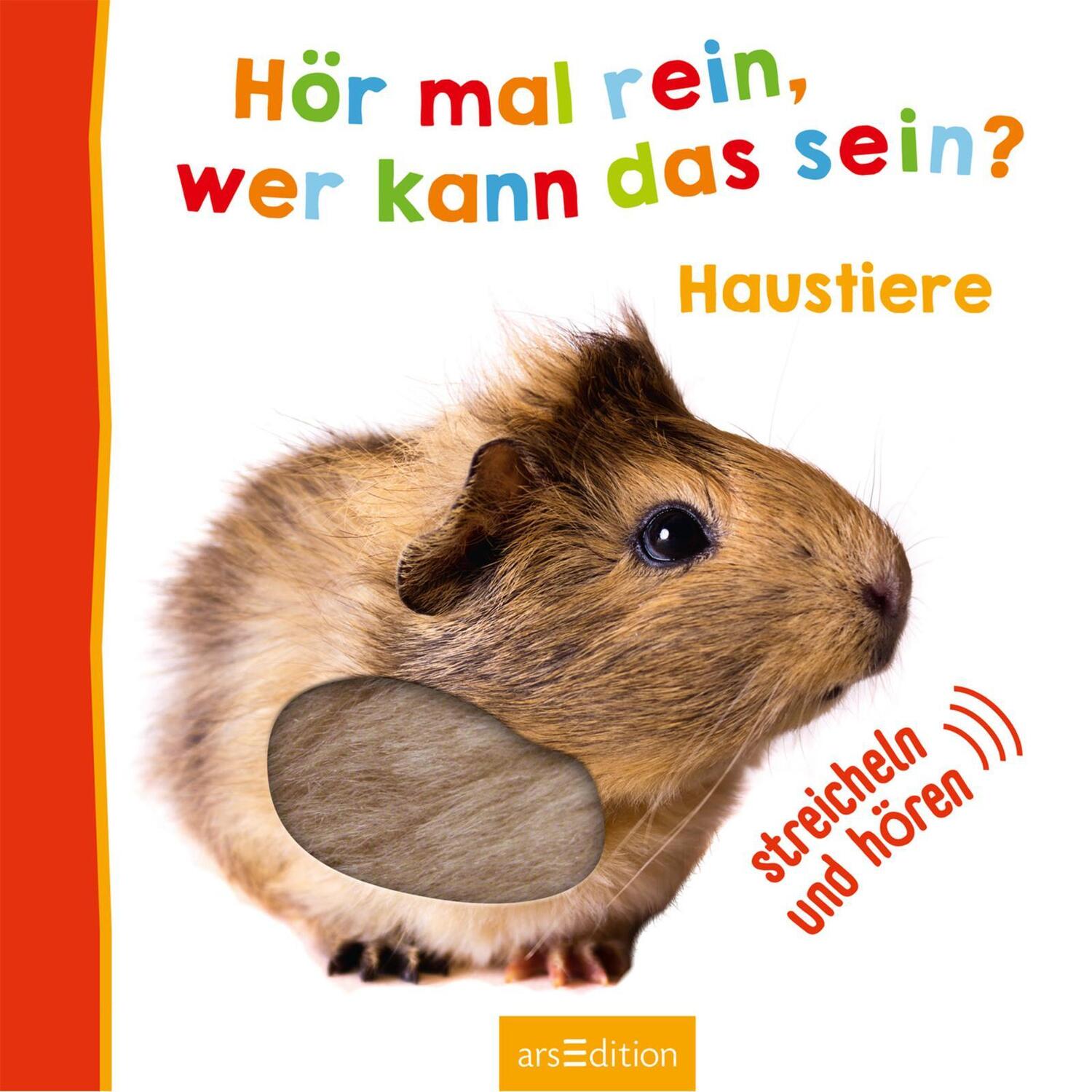 Bild: 9783845829401 | Hör mal rein, wer kann das sein? Haustiere | Buch | 12 S. | Deutsch