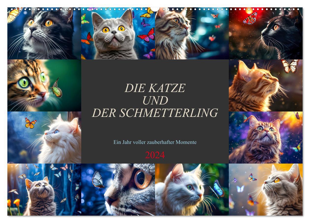 Cover: 9783383717444 | Die Katze und der Schmetterling (Wandkalender 2024 DIN A2 quer),...