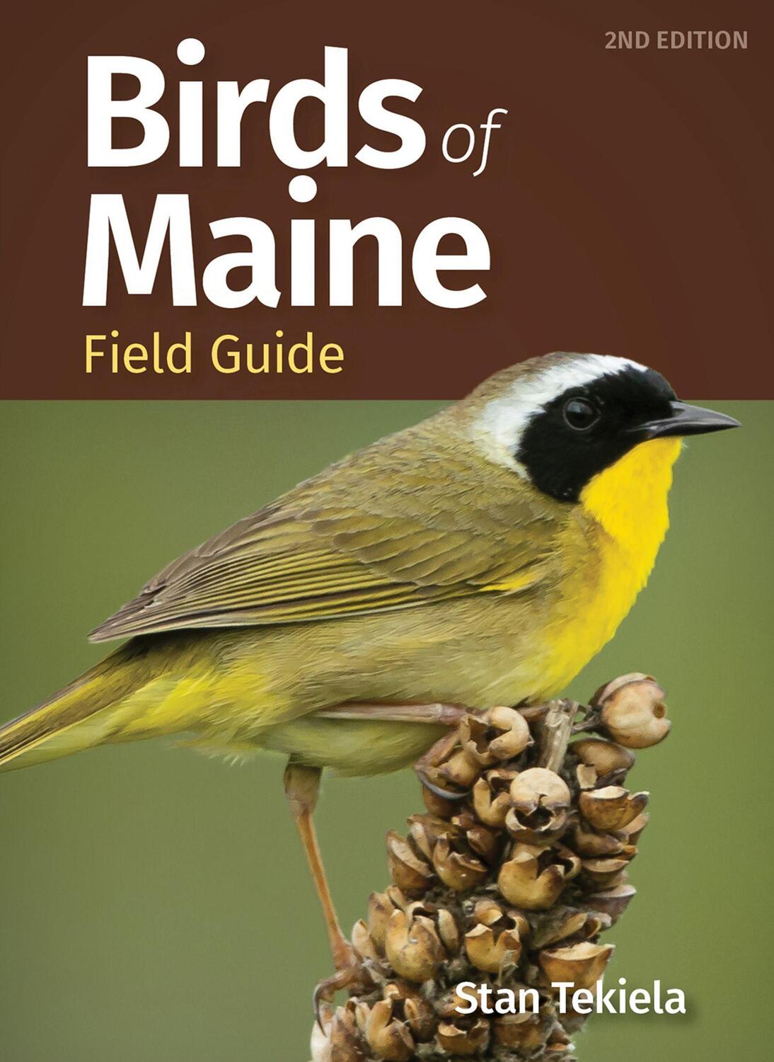Cover: 9781647553685 | Birds of Maine Field Guide | Stan Tekiela | Taschenbuch | Englisch