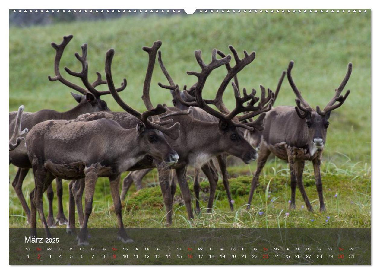 Bild: 9783435774562 | Lappland 2025 (hochwertiger Premium Wandkalender 2025 DIN A2 quer),...